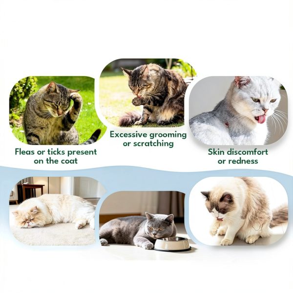 Yotango Cat Flea Prevention Chewable-2