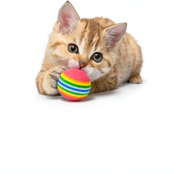 Cat Flea Drops by Elanco US Inc for Kittens-2