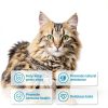 Cat Flea Tick Chews ColEaze Natural Coconut Oil-2