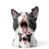 Cudory Oral Flea & Tick Drops for Dogs and Cats Natural Herbal Formula-7