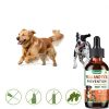 Carmelie Flea Tick Drops Pet Supplement Bacon-4