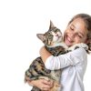 Cudory Oral Flea & Tick Drops for Dogs and Cats Natural Herbal Formula-6