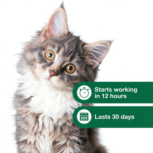 Cat Flea Drops by Elanco US Inc for Kittens-5
