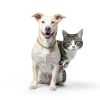 Carmelie Flea Tick Drops Pet Supplement Bacon-2