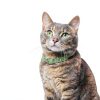 PetArmor Plus Cat Flea Treatment 3‑Count Waterproof Drops 30‑Day-7