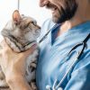 Advantage II Small Cat Flea Treatment by Elanco 5-9 lbs Monthly-3