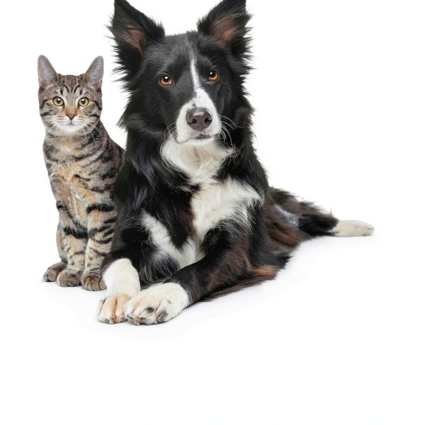Vet’s Best Flea & Tick Home Spray for Cats Cotton Spice 32 oz-5